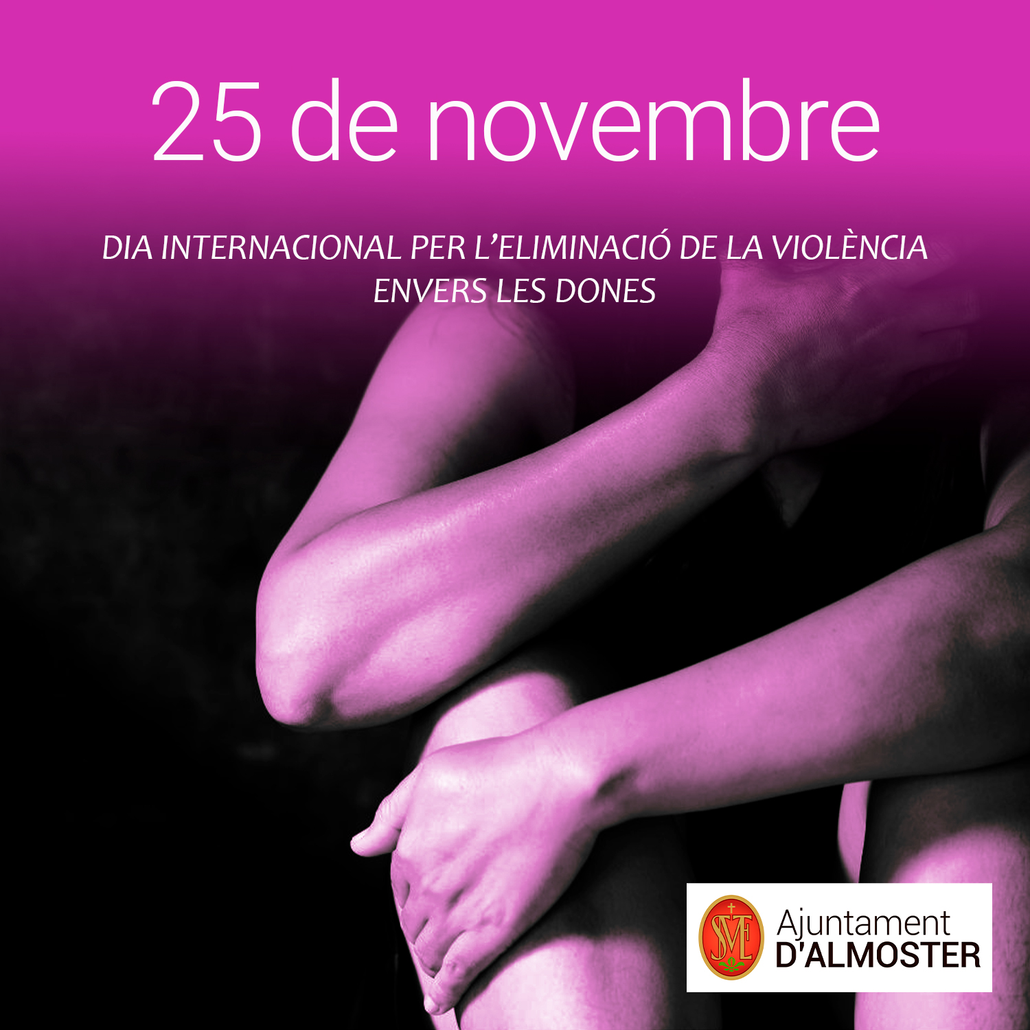 Read more about the article Avui 25 de novembre, Dia internacional per a l’eliminació de la violència vers les dones